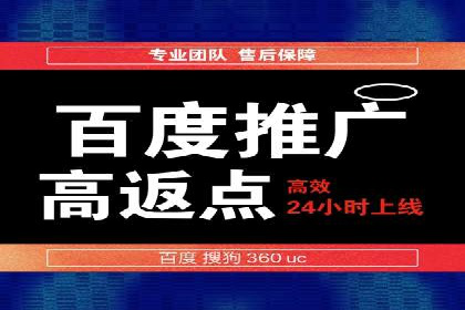 百度搜索推广实战技巧：成功案例启示录